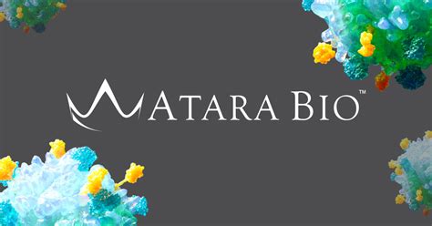 atara food inc|Hannelore Simplicio .